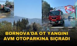 İzmir’de çıkan ot yangını AVM otoparkına sıçradı