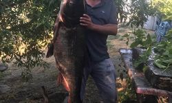 20 kilo ağırlığında som balığı yakaladı