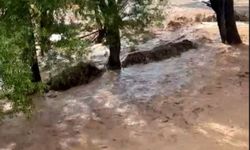 Mersin'de sağanak, sel ve taşkına yol açtı