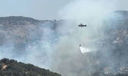 Muğla'da tarım arazisinde yangın paniği!