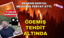 Ödemiş Belediye Başkanı Mustafa Turan: "Yangının şehrin merkezine inmesi an meselesi"