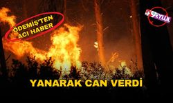 Ödemiş yangınından acı haber geldi: Yanarak can verdi