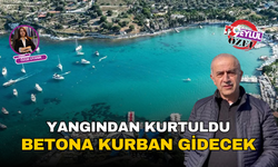 Yangından kurtuldu, betona kurban gidecek