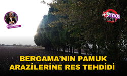 Bergama’nın pamuk arazilerine RES tehdidi