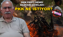 DEM Parti Eş Genel Başkanı Hatimoğulları: PKK, Öcalan'ın özgür olmasını istiyor