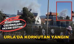 Urla'da yerleşim yerine yakın ormanda yangın!