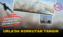 Urla'da yerleşim yerine yakın ormanda yangın!