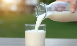 Bakanlıktan süt devlerine 58 milyonluk ceza