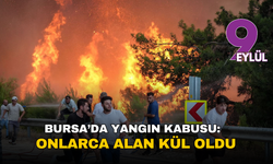 Bursa’da yangın kabusu:  '100 hektardan fazla alan kül oldu'