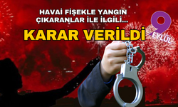 Bursa'da havai fişek atarak yangın çıkaranlara ders gibi ceza