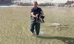 Yaralı leyleği itfaiye ekipleri kurtardı