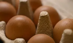 Yumurta ihracatına önlem: Kayda bağlı ihracat sistemi devreye girdi!