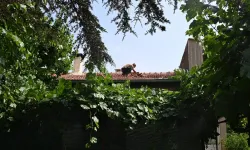 Eğitim roketi evin çatısına düştü