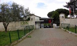 Zeytinyağı markası Olivos konkordato talep etti