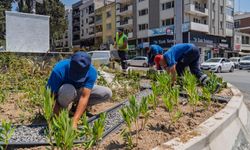 İzmir’de kavşaklara estetik ve çevreci dokunuş