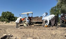 Muğla'nın 'efeleri': 40 derece sıcakta, 3 bin 500 yıllık tarihe can veren kadınlar!