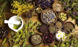 İzmir'den aromatik atağı: Türkiye'nin ilk bitki OSB'sine büyükşehir desteği