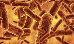 Bilim insanları DNA’yı sıfırdan tasarladı