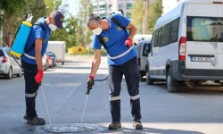 İzmir’de 24 saat ilaçlama seferberliği başladı