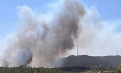 Çanakkale’de yine yangın alarmı: Kazdağları tehlike altında