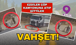 Vahşet: Ezerek öldürdükleri köpekleri çöp kamyonuna atıp götürdüler