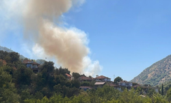 Aydın’da zeytinlik yangını 1,5 saatte kontrol altına alındı