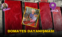 Seferihisar'da domates dayanışması