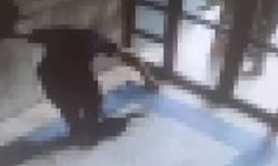 Başakşehir'de bir kediyi işkenceyle öldüren şahıs tutuklandı