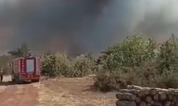 Karabük’te orman yangını