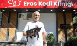 İzmir’de patili dostlara umut: Yeni kedi kliniği “Eros” açıldı