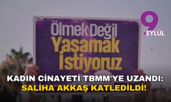 Kadın cinayeti TBMM'ye uzandı: Saliha Akkaş'ı boşanma aşamasındaki erkek katletti!