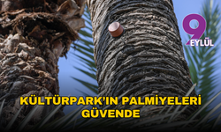 Kültürpark’ın palmiyeleri yapay zeka ile güvende