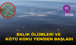 İzmir Körfezi’nde kötü koku ve balık ölümleri yeniden başladı!