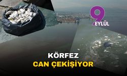 İzmir Körfezi can çekişiyor: Balık ölümleri ve ağır koku, sahilleri esir aldı!
