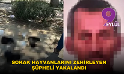 İzmir Selçuk’ta sokak hayvanlarını zehirleyen şüpheli yakalandı