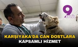 Karşıyaka’da can dostlara kapsamlı hizmet