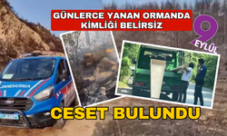 Günlerce yanan ormanlık alanda erkek cesedi bulundu