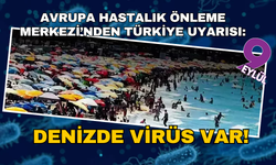 Vibrio bakterileri artık Türkiye kıyılarında...