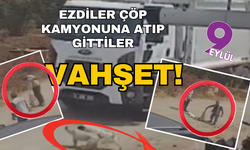 Vahşet: Ezerek öldürdükleri köpekleri çöp kamyonuna atıp götürdüler
