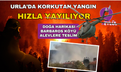 Korkutan yangın... Hızla yayılıyor