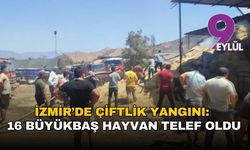 İzmir’de çiftlik yangını: 16 büyükbaş hayvan telef oldu