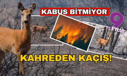 Kabus bitmiyor... Kahreden görüntüler... 7 köy tahliye edildi