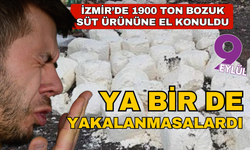 İzmir’de bin 900 ton süt ürününe el konuldu