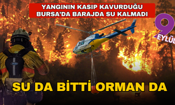 Bursa'da su da bitti orman da! Alevler durmuyor