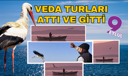 Yaren leylek bu yıl erken göçtü! Duygulandıran veda