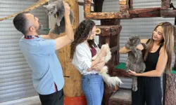 Konak’ta 187 patili dost yuva buldu: Sahiplendirme çalışmaları sürüyor