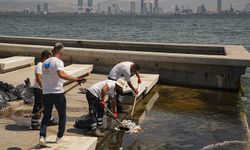 İzmir Körfezi’ndeki ölü balıklar sahilleri yeniden doldurdu