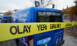 İzmir’de motosiklet faciası: Yola çıkan domuza çarpan sürücü yaşamını yitirdi