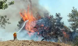 Yangın görevinde acı kaza: Orman işçisi şehit oldu, 4 yaralı