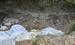 Tavuk leşlerini çuvallarla yayla yoluna attılar